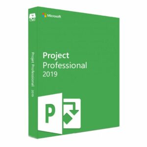 msproject19
